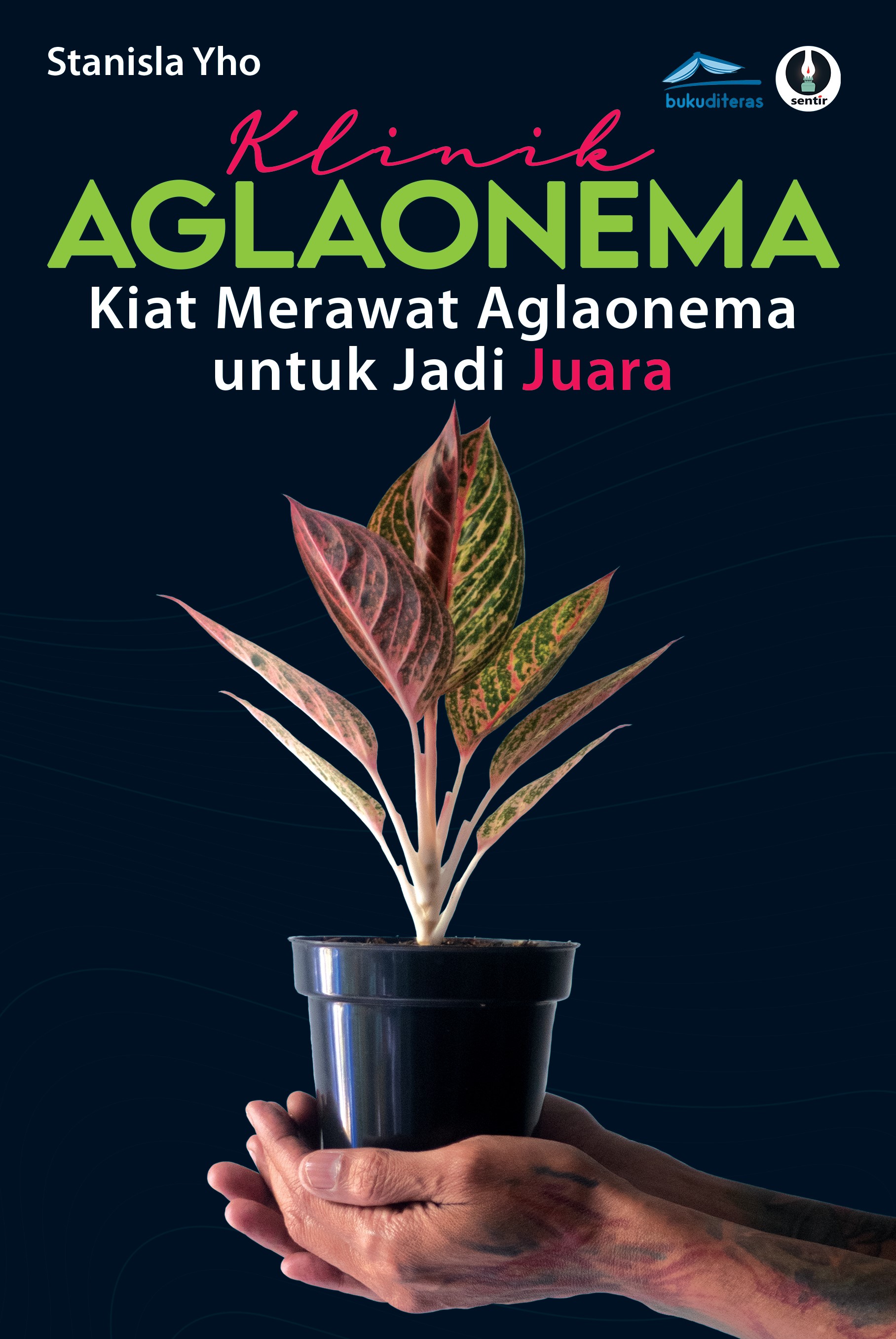 Klinik Aglaonema
